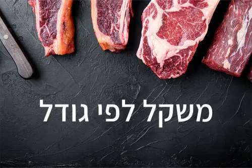 משקל לפי גודל